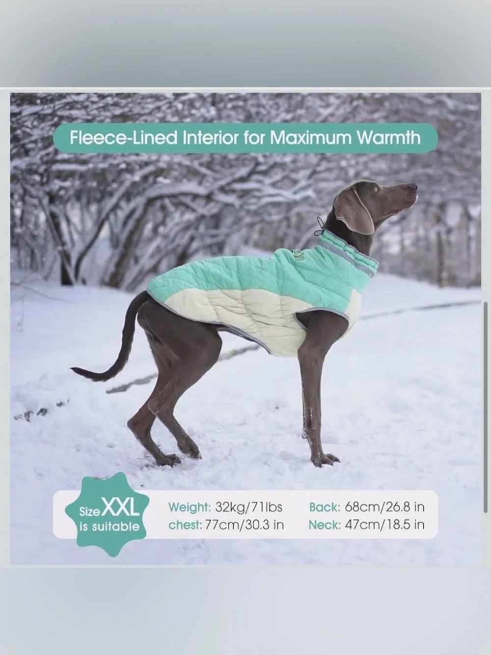 Waterproof XL Dog Winter Jacket With Harness Built In-Reflective 968-3